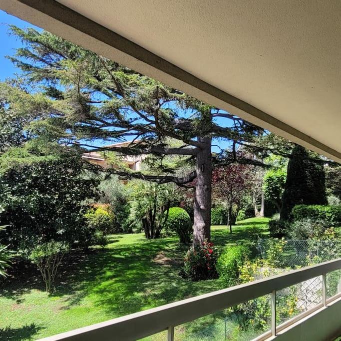 Centre Beau 2 Pieces 50 M2 Terrasse A 12 Min Plages Et Palais Au Calme Appartement Cannes