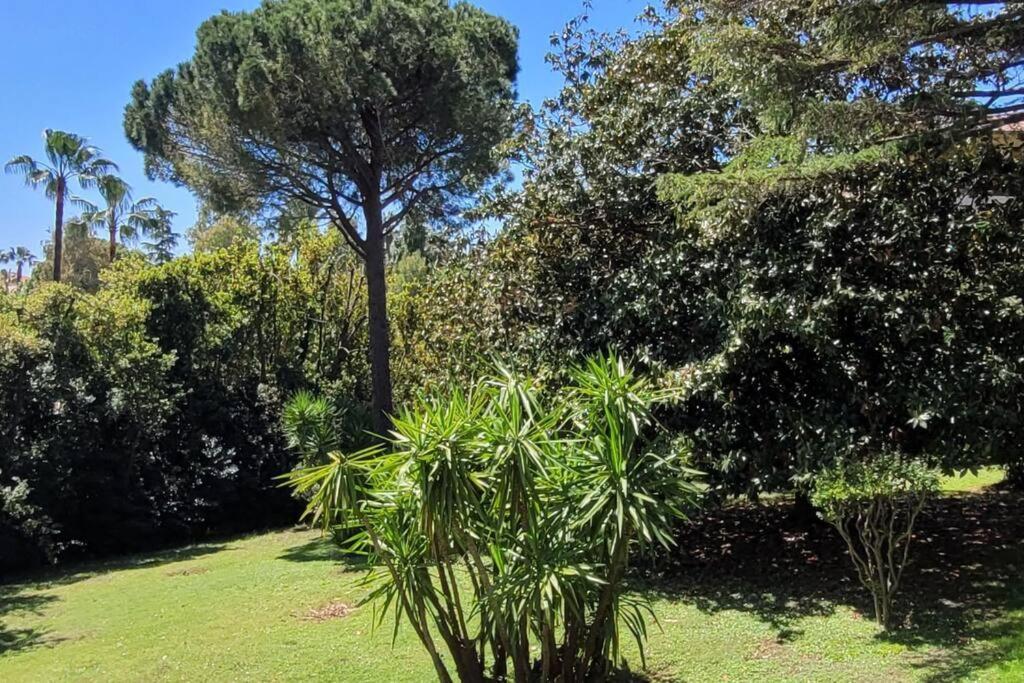 Centre Beau 2 Pieces 50 M2 Terrasse A 12 Min Plages Et Palais Au Calme Appartement *