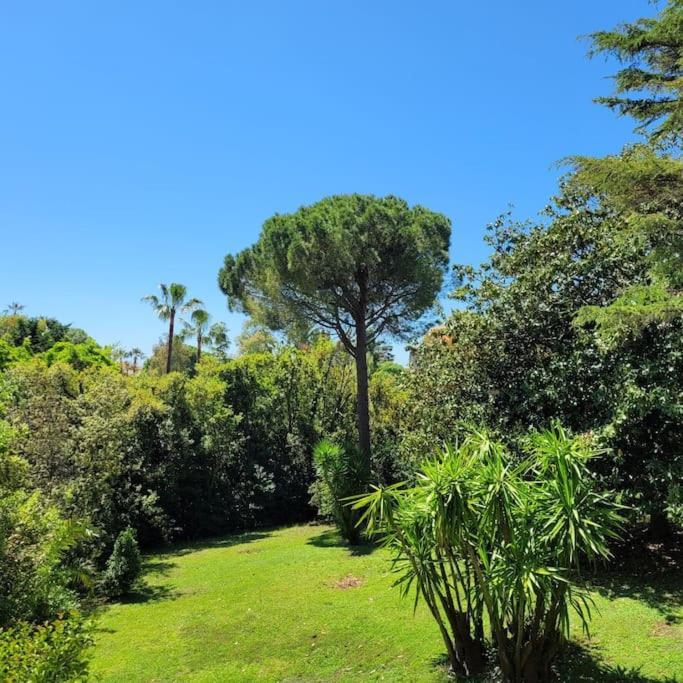 Centre Beau 2 Pieces 50 M2 Terrasse A 12 Min Plages Et Palais Au Calme *